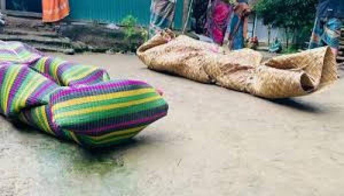 ঋণের বোঝা ও অসুস্থতার যন্ত্রণা—কসঙ্গে মা-মেয়ের মৃত্যু