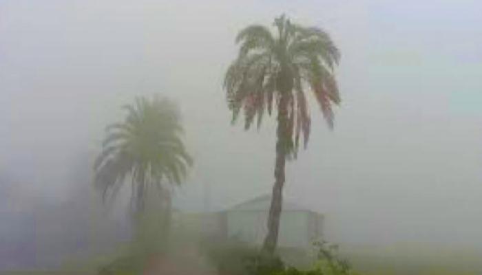 দেশজুড়ে বাড়ছে শীতের দাপট, তীব্র শৈত্যপ্রবাহের আশঙ্কা